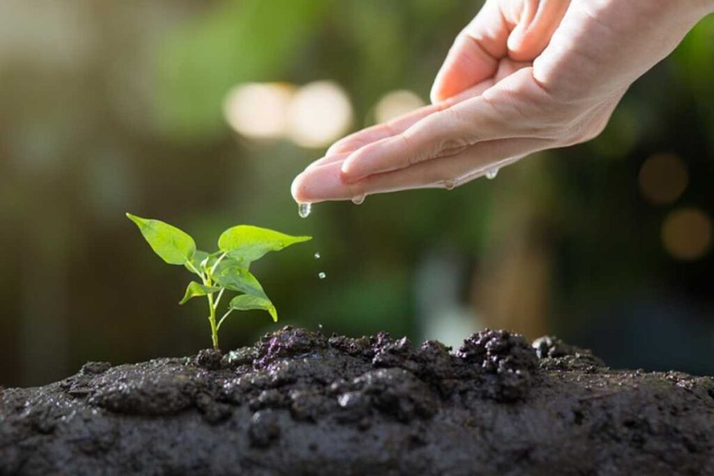 Como funciona o licenciamento ambiental em Curitiba